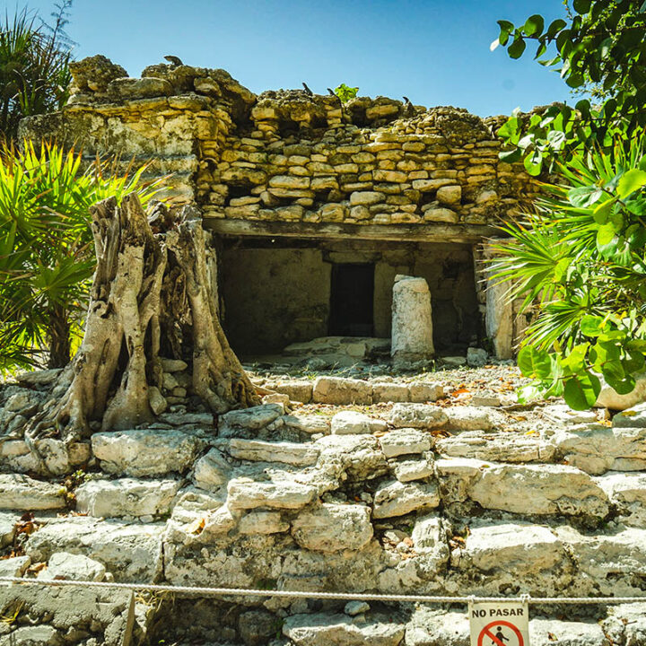 Mayan,Ruin,"xaman-ha",In,Playa,Del,Carmen,,Mexico