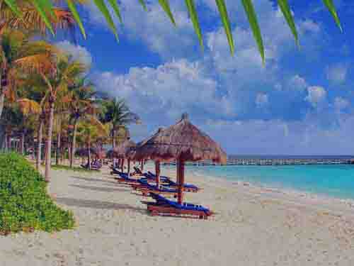 Musa Cancun Mexico Travel Destinations