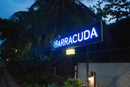 barracuda-seafood