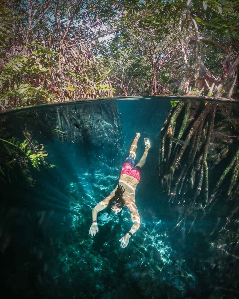 diving cenote cristalino mangroves